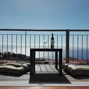 Zen Caniço